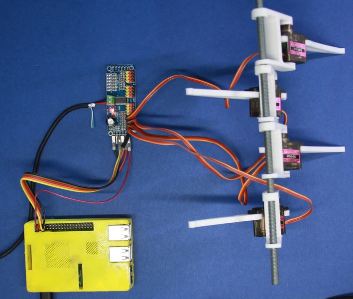 File:Legs0-IMG 0030.JPG