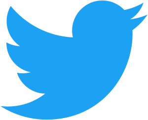 File:Twitter bird logo 2012.svg