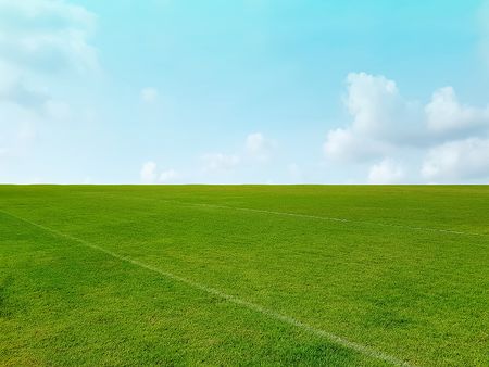 Bigstock-Background-Of-Green-Grass-Fiel-347094733.jpg