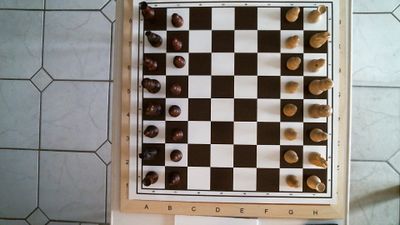ChessBoard013.jpg
